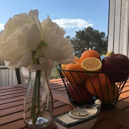 Villa Buqez Eco - 33 Drage